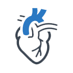 Cardiology